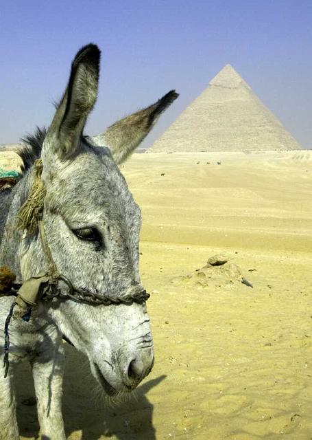 Giza Pyramids IMGP4538.jpg